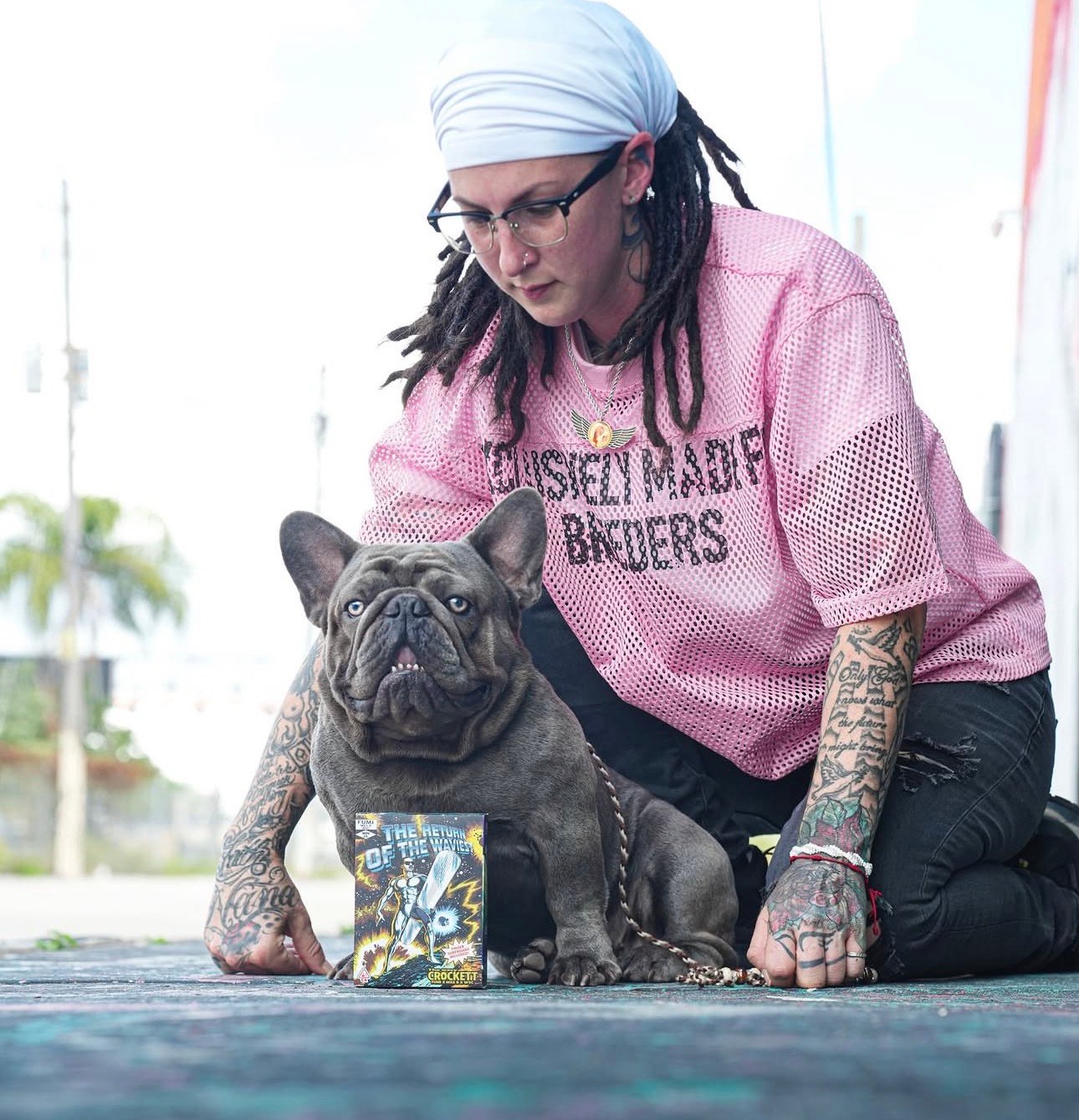 French Bulldog Slide 6