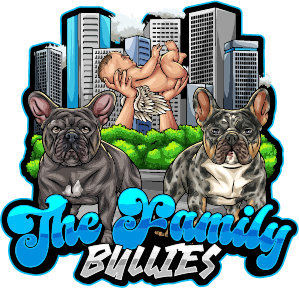 French Bulldog states we serve