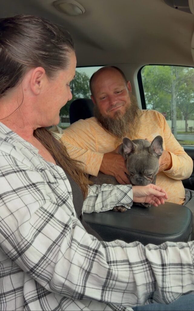A Family Bullies puppy at home with its family