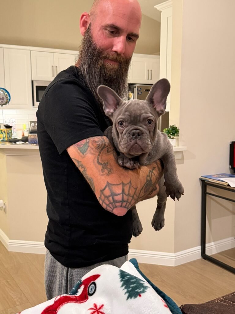 A Family Bullies puppy at home with its family