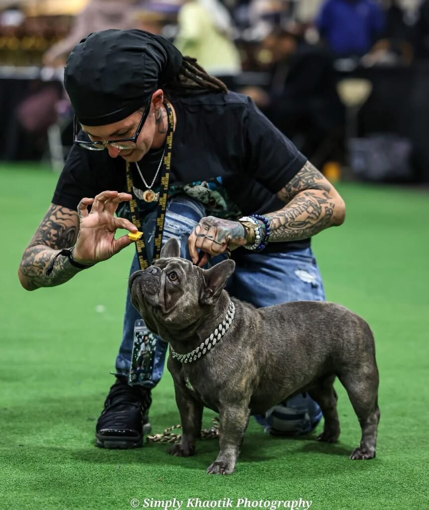 A handler with one of our dogs